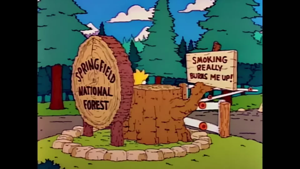 FORÊT NATIONALE DE SPRINGFIELD