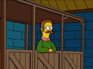 Flanders ?