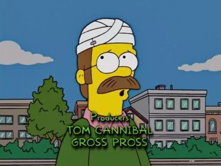 Flanders, tu as vu mon freesbee ?