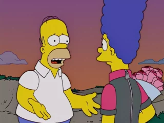 Je suis désolé Homer.