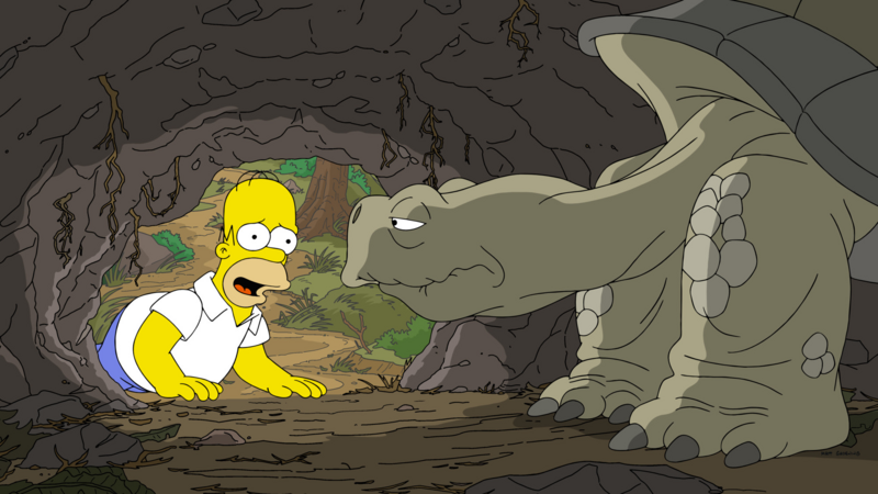 Homer et la tortue