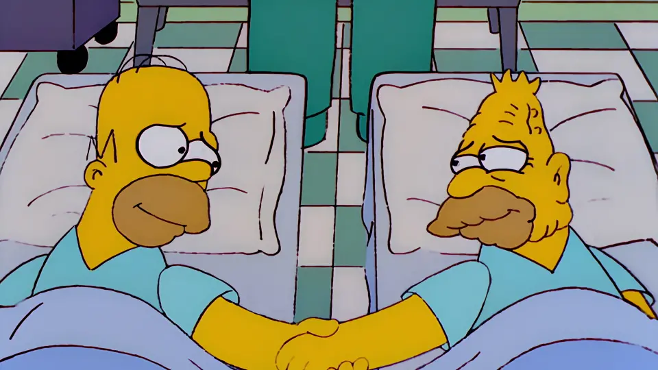Les Simpson - S10E08 - Touche pas à mon rein