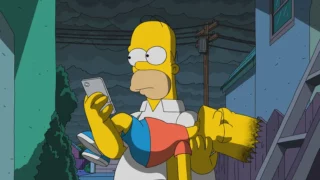 Les Simpson - S29E21 - L’Échelle De Flanders