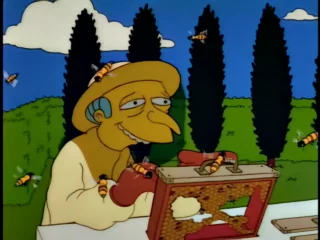 Les Simpson S03E11 (50)