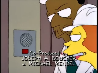 Les Simpson S05E03 (3)