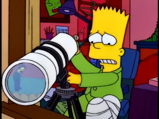 Les Simpson S06E01 (56)