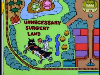 Les Simpson S06E04 (32)