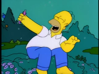 Les Simpson S06E09 (40)