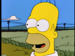 Les Simpson S06E10 (47)