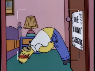 Les Simpson S06E18 (17)