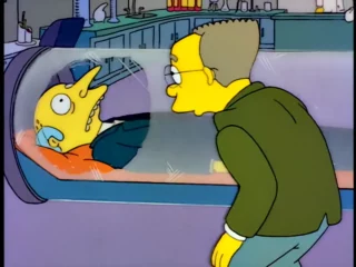 Les Simpson S06E19 (37)