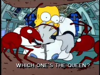 Les Simpson S07E10 (45)