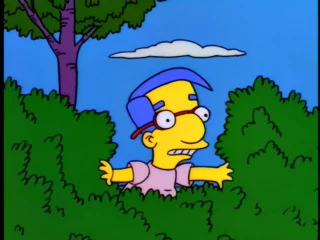 Les Simpson S07E25 (42)