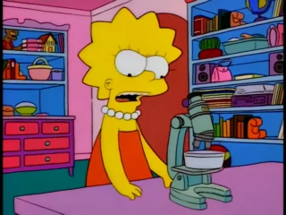Les Simpson S08E01 (28)