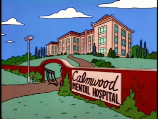 Les Simpson S08E08 (49)