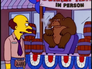 Les Simpson S08E10 (6)