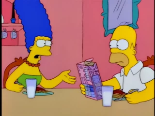 Les Simpson S08E22 (24)