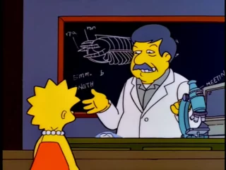 Les Simpson S09E08 (42)
