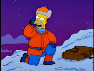 Les Simpson S09E23 (59)