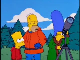Les Simpson S09E23 (81)
