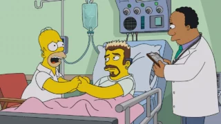 Les Simpson S36E20 (18)